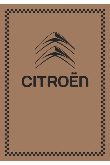 Citroen Kağıt Oto Paspas 100 Adet