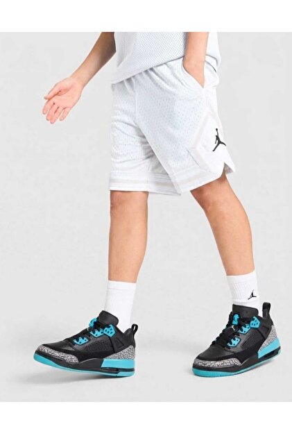 Nike Air Jordan Spizike Low Genç Çocuk Unisex Deri Sneaker (Blue