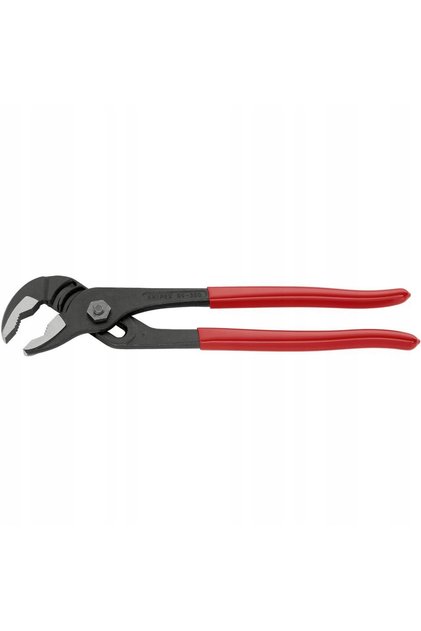 Clește pentru pompe de apă, lungime 250mm 89 01 250