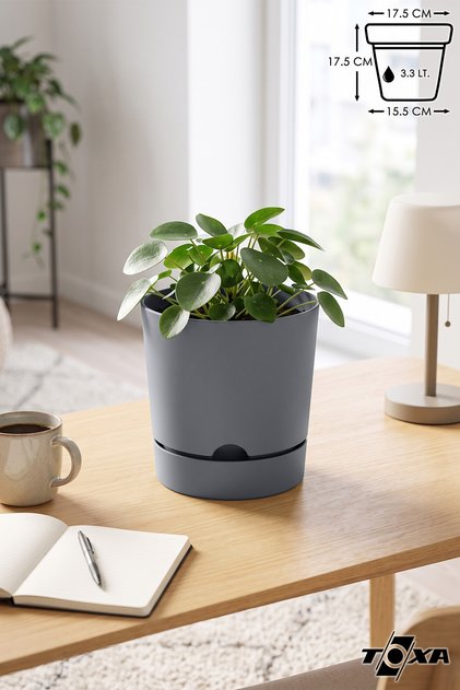 3.3 Litre Gri Saksı Tabaklı Dekoratif Mat Plastik Saksı