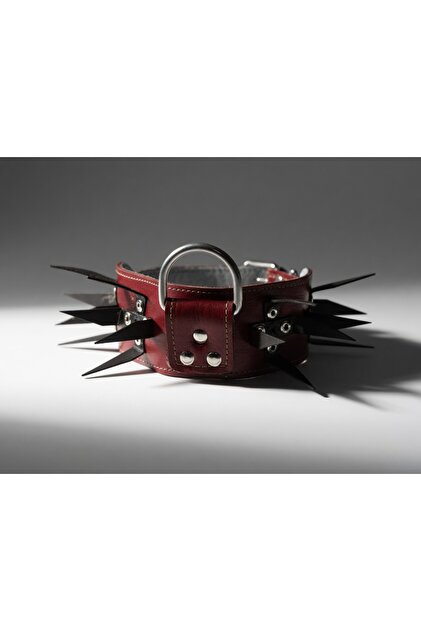 7 cm Leather Collar with 6 Torques