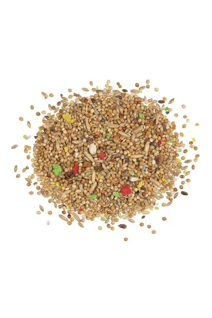2 kg Premium Budgie Seed Mix for Parakeets, Natural Daily Bird Food with Millet, Canary Seeds, Flax Seeds & Coloured Kibbles