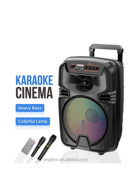ZQS12149 12-Inch Outdoor Wireless Trolley Speaker with RGB LED Lighting Mini Flash DJ Party Microphone Manufactured China