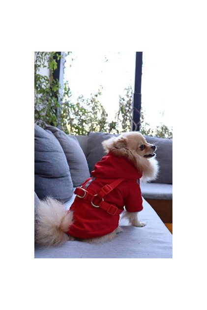Red Leash Cat and Dog Indoor Coat, Ideal for Comfort and Style