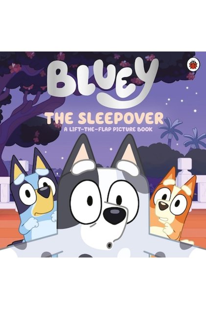 Bluey: Sleepover