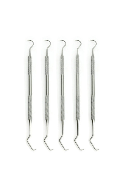 A5-5PCS 5PCS Double Hook Tooth Dental Explorer Probe Dentist Tool Stainless Steel Dental Tool Teeth