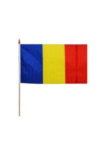 Steag panza de mana cu suport de lemn, Romania, 30×45 cm