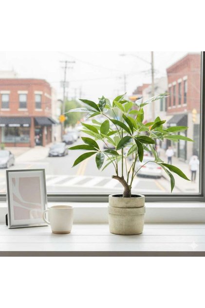 Money Plant Artificial In Pot H55cm - Green