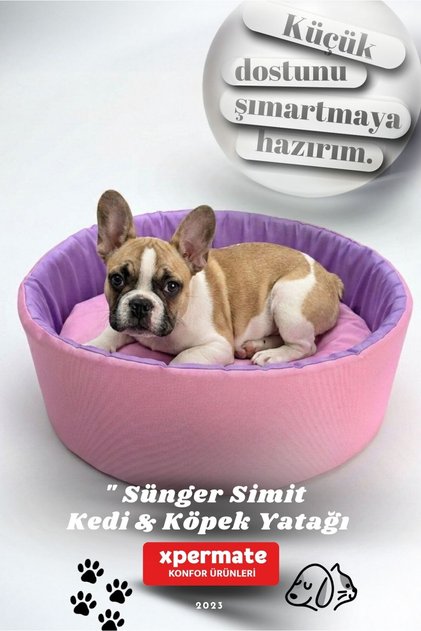 Köpek Yuvası Küçük Irk Köpek Yatağı Ve Kedi Yatağı Küçük Pembe Lila Sungersımıt