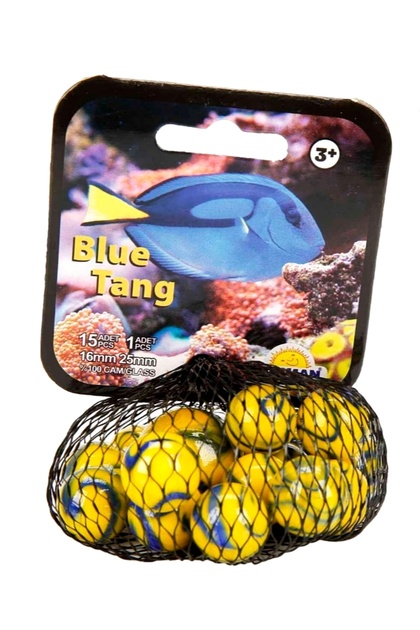 Filede Kaliteli Deniz Hayvanları Misket 1 / BLUE TANG