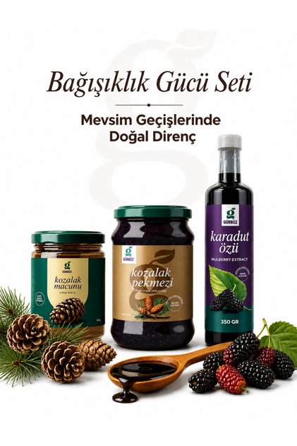 Bağışıklık Gücü Seti - Doğal Kozalak Macunu + Kozalak Pekmezi + %100 Karadut Özü 3'lü Paket