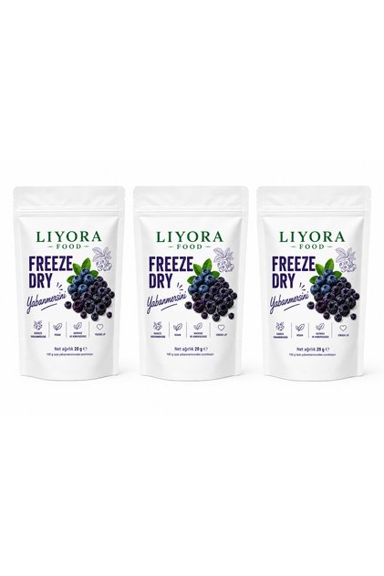 Dry Fruit Chips Freeze Dried Blueberries 20 g X 3 Pieces