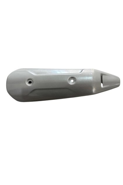 RAIDER 125 EGZOZ KORUMA ARKA N6050340
