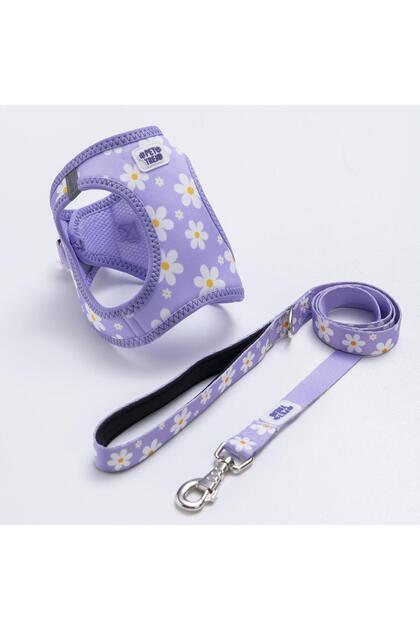 Purple Dream Göğüs Tasması ve Sevk Kayışı Tasma Seti Papatya Desenli Kedi Köpek Göğüs Tasması Seti