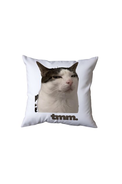 Funny Cat Pillow with Text, Humorous Gift