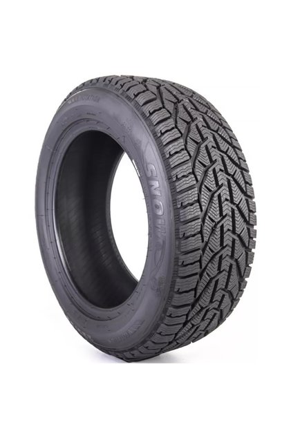 Snow 205/55R17 95V XL 2025