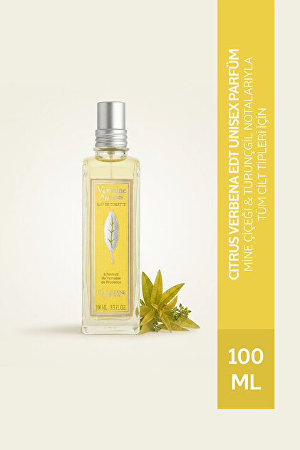 L'Occitane Terre de Lumiere L'eau Parfüm EDT 50 ML - Fiyatı, Yorumları