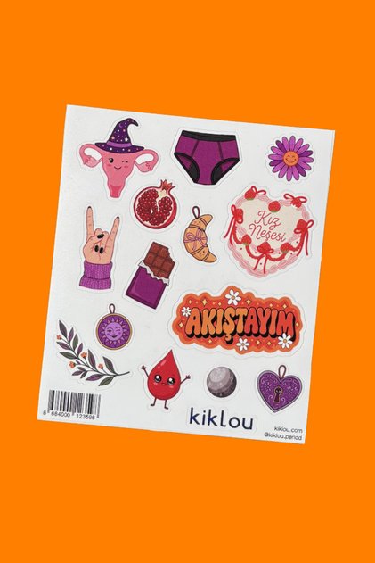 Regl Temalı Sticker Seti