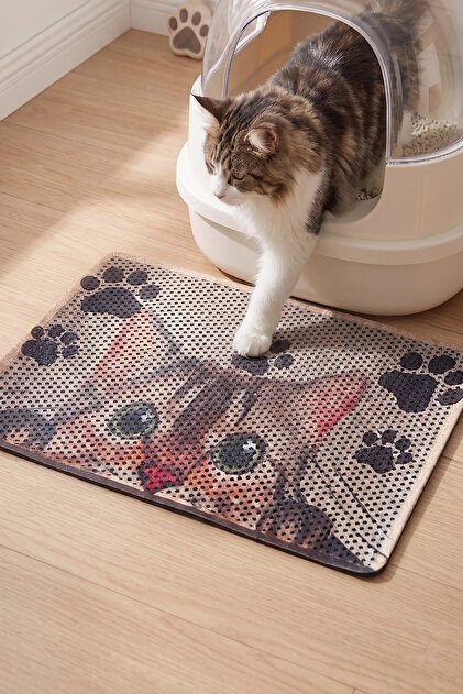 Tekir Kedi Elekli Kedi Kum Paspası - Çift Katmanlı Pratik Kedi Kum Paspası 45x60 cm