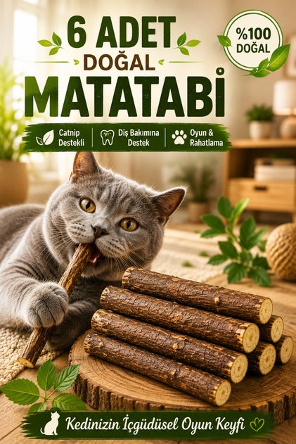 6 Adet Doğal Catnip Destekli Matatabi Çubuğu Kedi Oyuncağı Kedi Yalama Çubuğu Kedi Diş Temizleme Çubuğu Doğal Kedi Çiğneme Oyuncağı Kedi Diş Bakım Çubuğu