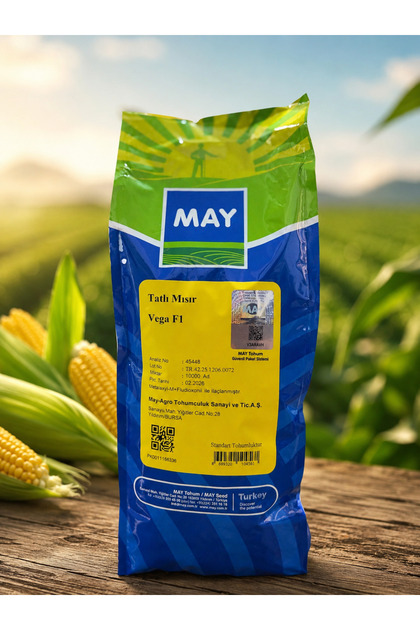MAY Agro VEGA F1 Tatlı Mısır Tohumu | Tatlı ve Yüksek Verimli Hibrit 10000 Adet