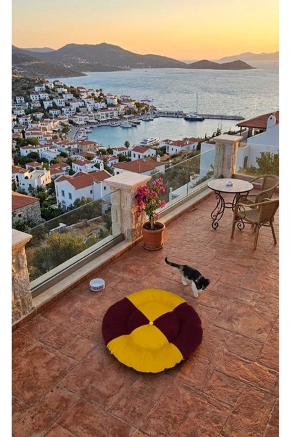 Keçi ⭐ Cat Yatak