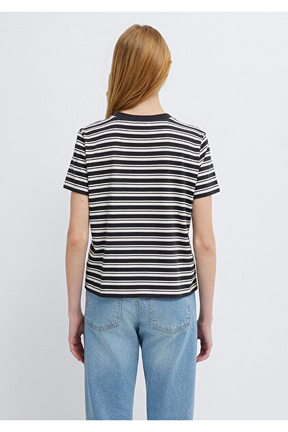 Mavi Çizgili Antrasit Tişört Slim Fit / Dar Kesim 1614216-85308