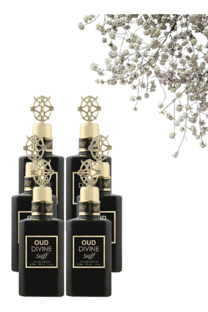 6 قطع Oud Divine عطر 100ML
