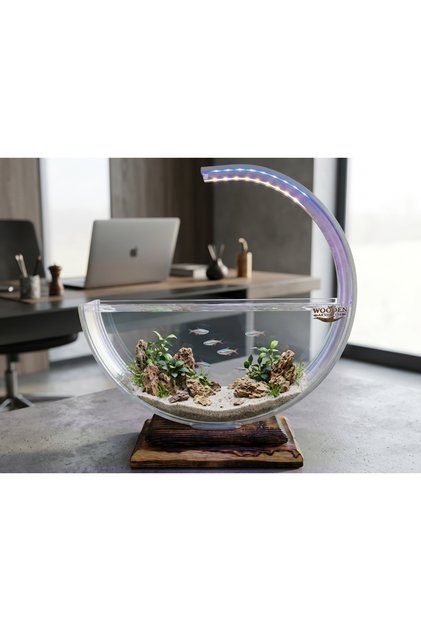 Wooden Aquarium Ahşap Tabanlı Hilal Akvaryum - LED Işıklı Özel Tasarım Betta Fanusu