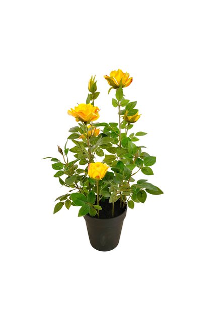 Tori Artificial Rose Tree with Pot, 41 cm, Assorted