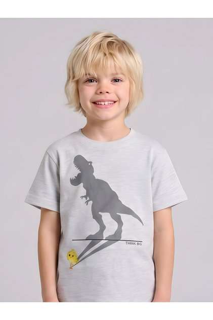 Boys Regular Fit Graphic T-Shirt