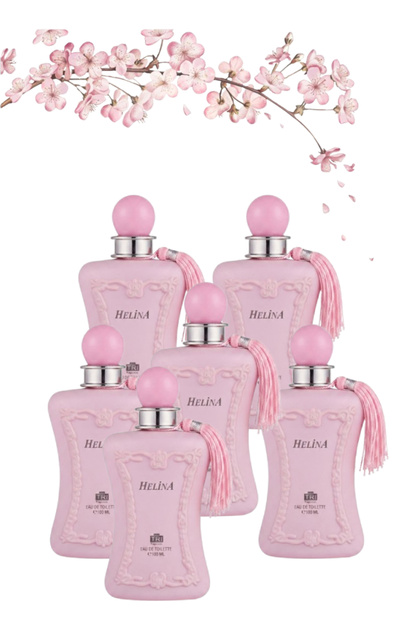 6 قطع Helina Perfume 100مل