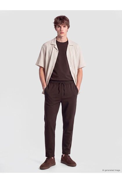 Xside Brown Regular Fit Men's Trousers