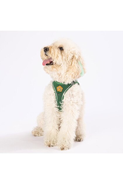Çam Yeşili Air-mesh Göğüs Tasması Kedi Köpek Göğüs Tasması