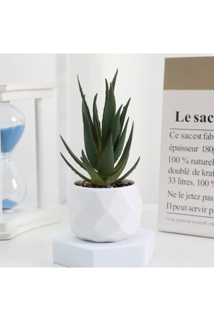 I Artificial Succulent Bonsai Plants Simulation Succulents Mini Evergreen Bonsai Cactus Succulent P.