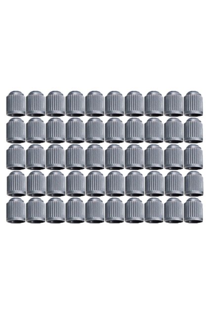 10pcs Grey Car Tire Valve Stem Caps Plastic Tyre Valve Dust Caps Universal Wheel Stem Covers for Aut
