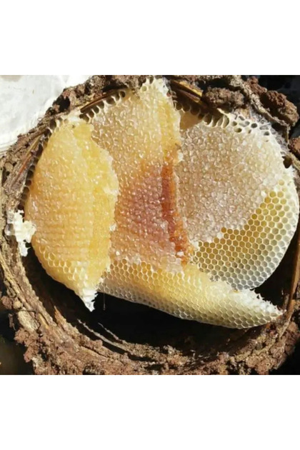 Dağ balı( sepet Karakovan),(doğal petek,yapay mum yoktur)Net:850 gr