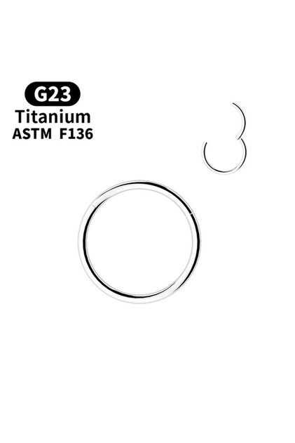حلقات أنف مفصلية من التيتانيوم G23، حلقات جسم دائرية للنساء والرجال، 16G-1.2mm-8mm S1-1pc-silvery، قطعة واحدة