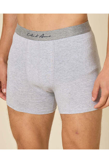 Men Grey Hipster Briefs (Pack Of 2)