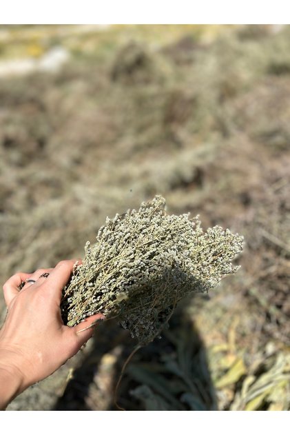 Narin Tarım Dağ Kekiği – Kurutulmuş Yayla Kekiği 20 g