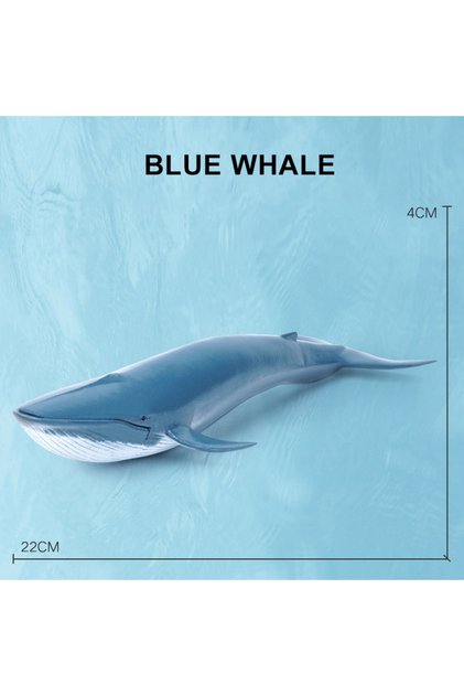 Blue Whale Simulation Marine Sea Life Whale Figurines Shark Cachalot Action Figures Ocean Animal Mod