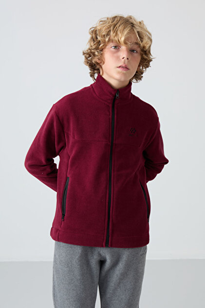 Erguvan Thick Soft Textured Standard Fit Embroidered Fleece Boys' Sweatshirt - 11223