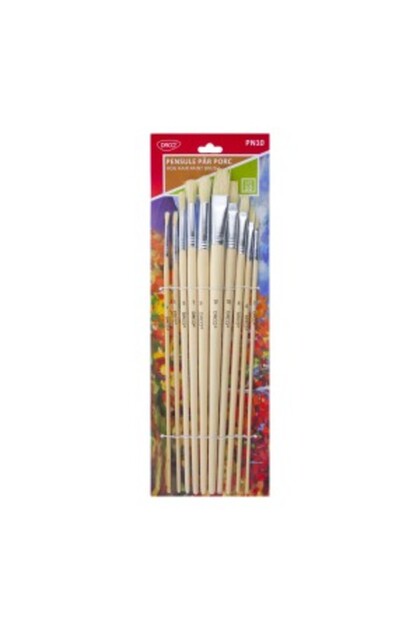 Pensula set 10 par porc pn10