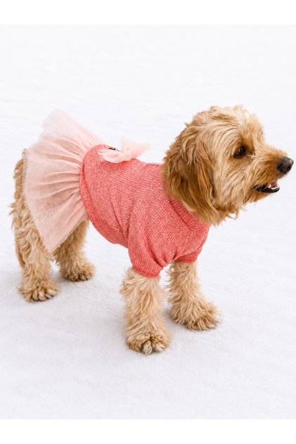 Cat - Dog Winter Tutu Dress - Sweater - Sweatshirt - Outfit