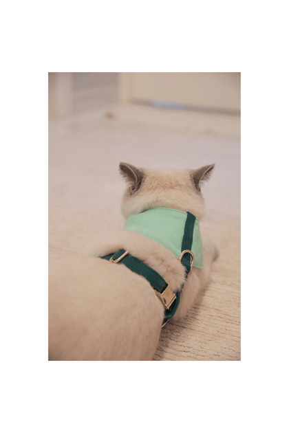 Charmlı Yumuşak ve Ayarlanabilir Shelby Soft Kedi Göğüs Tasması