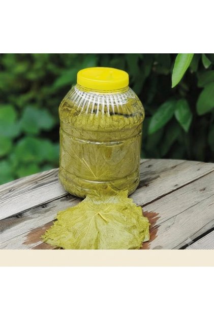 MANİSA ÜZÜM YAPRAĞI AZ TUZLU 1KG NET(1.KALİTE)