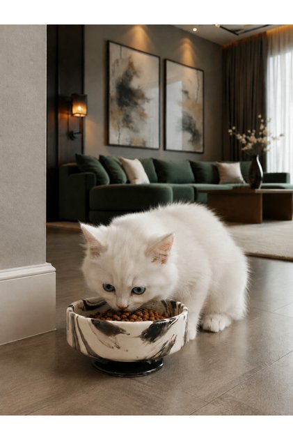 Mama Kabı Kedi ve Köpek 1 Adet Doğal Mama veya Su Kabı