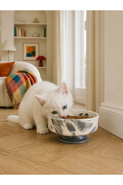 Mama Kabı Kedi ve Köpek 1 Adet Doğal Mama veya Su Kabı