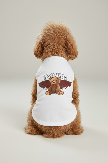 Cat Dog Teddy Bear Athlete