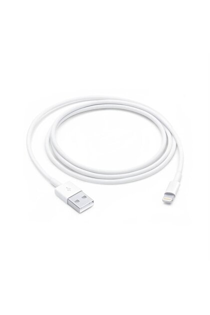 LIGHTNING TO USB CABLE (1M) TR GARANTİ